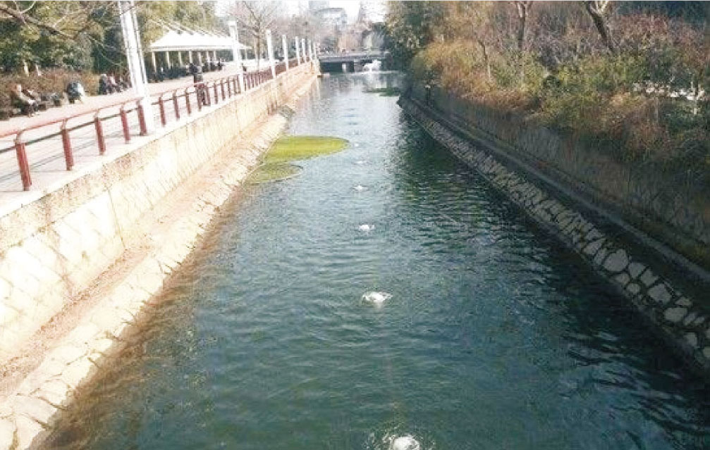 小流域生態(tài)治理技術